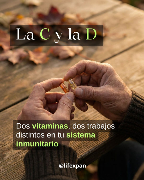 Vitamina C y D en otoño: qué hace cada una realmente en tu sistema inmunitario