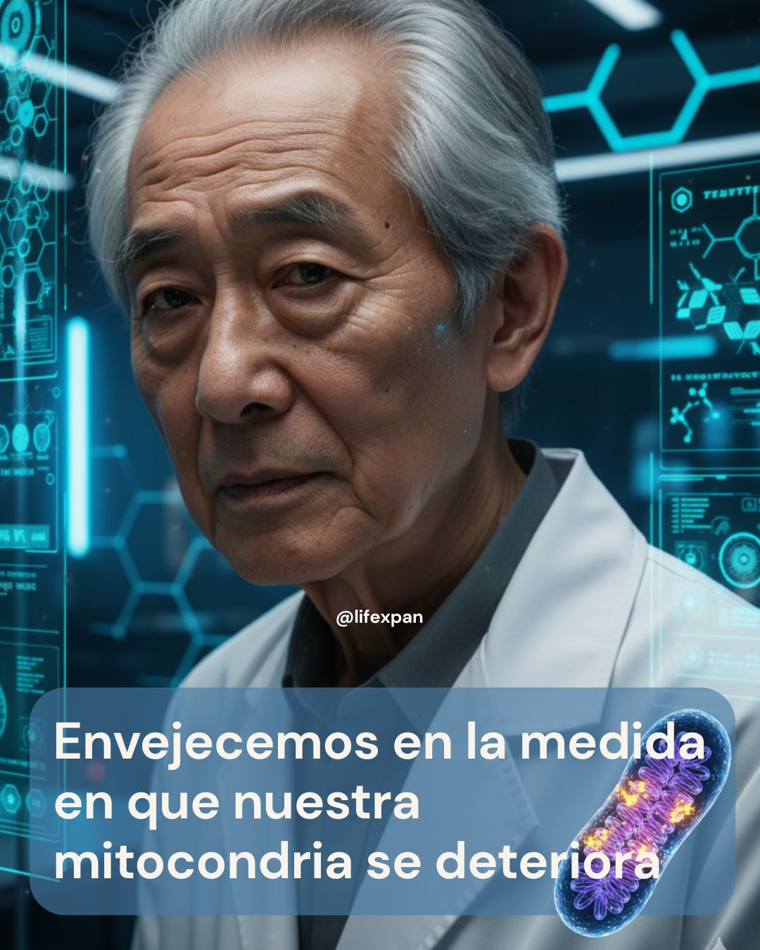 El Reloj Biológico en la Célula: Mitocondrias y Longevidad
