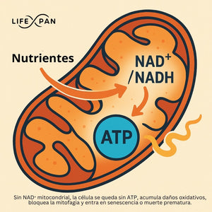 LifeXpan® NR PURO 60
