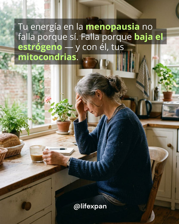 Lo que le pasa a tu energía en la menopausia, y cómo atravesarlo
