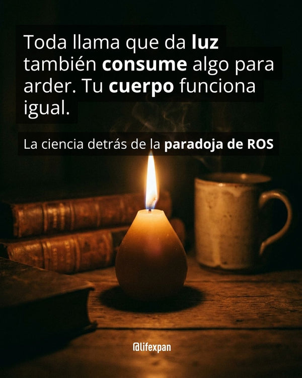 La paradoja de la energía: por qué vivir te desgasta