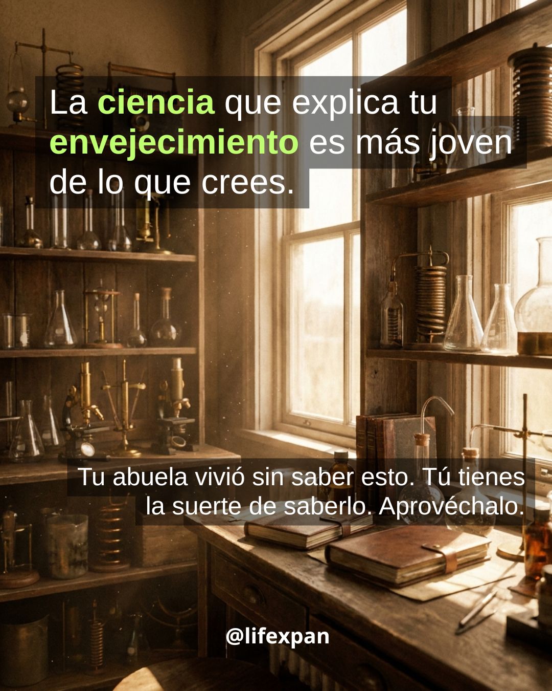 Lo que tu abuela no pudo saber sobre la longevidad