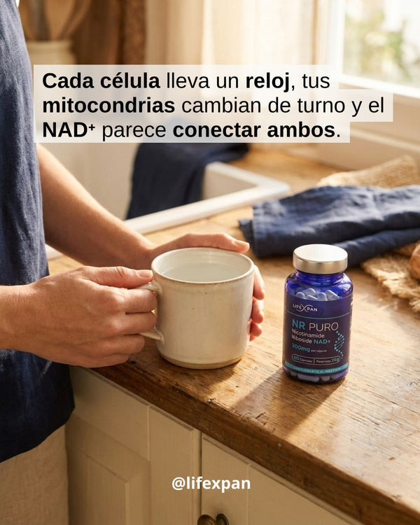 Reloj interno y energía: por qué no rindes igual a todas horas