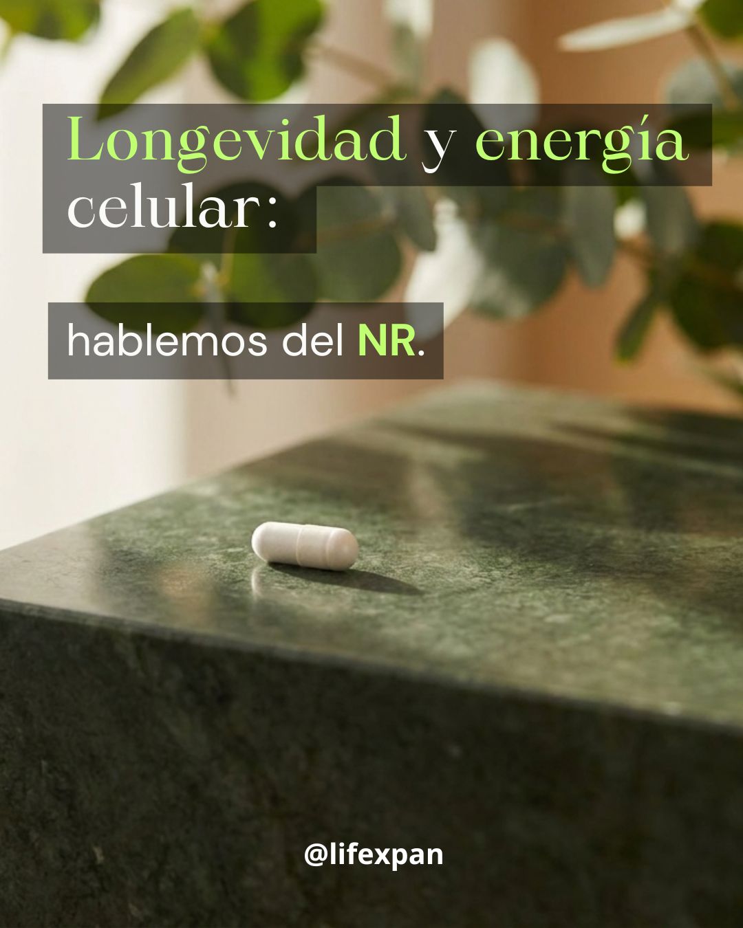 Qué es el NR (nicotinamida ribósido): guía desde cero