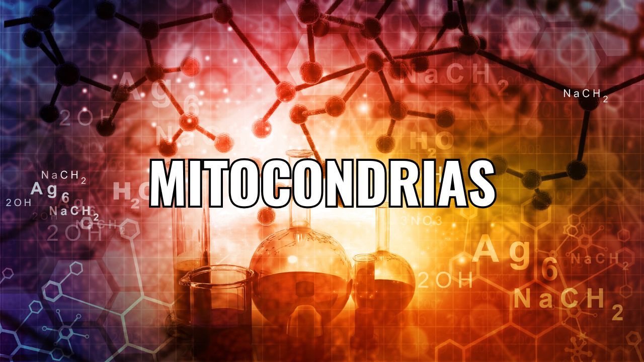 Más allá de la ciencia: NR y la transformación de la salud mitocondrial
