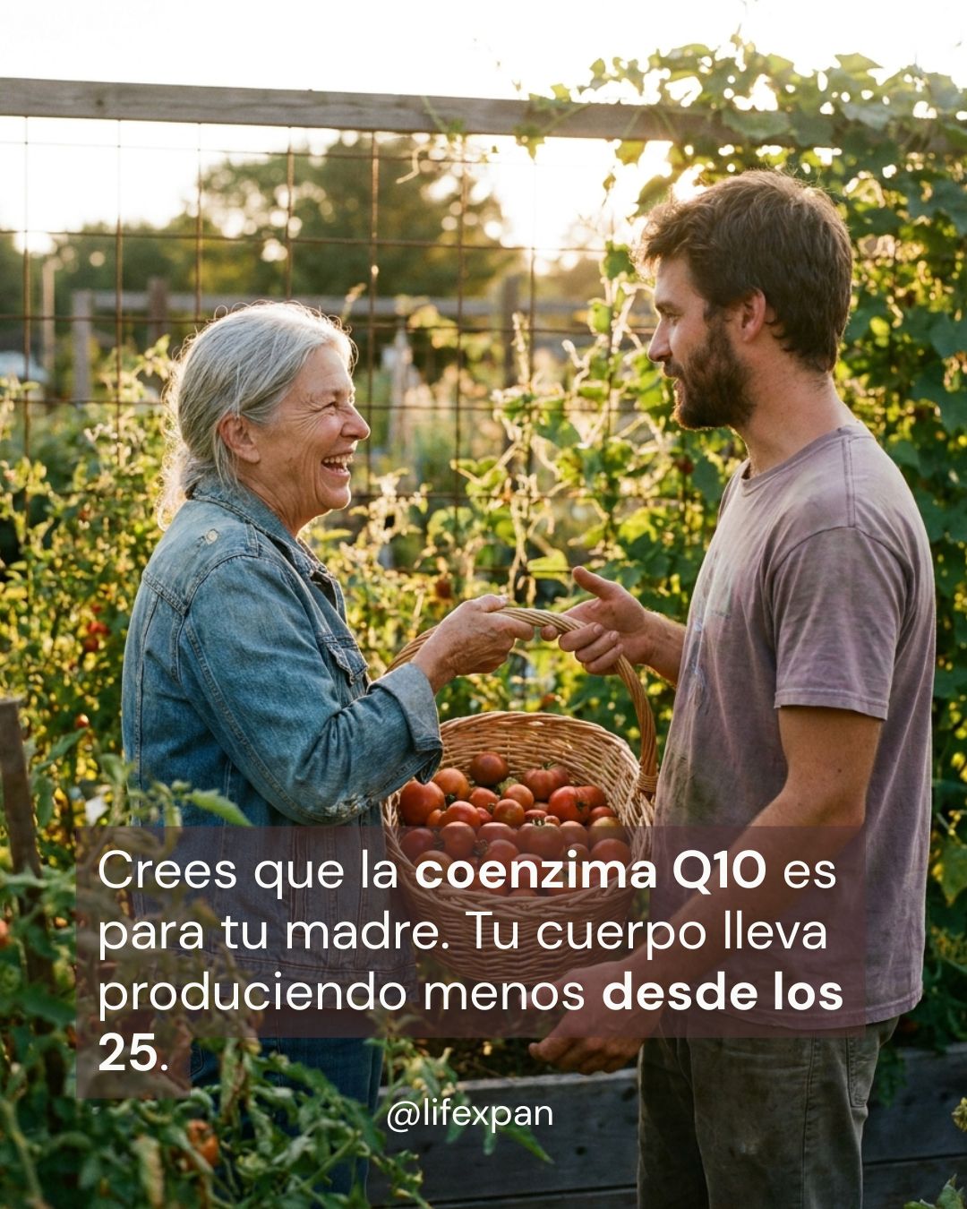 ¿La coenzima Q10 es solo para mayores? Lo que dice la ciencia