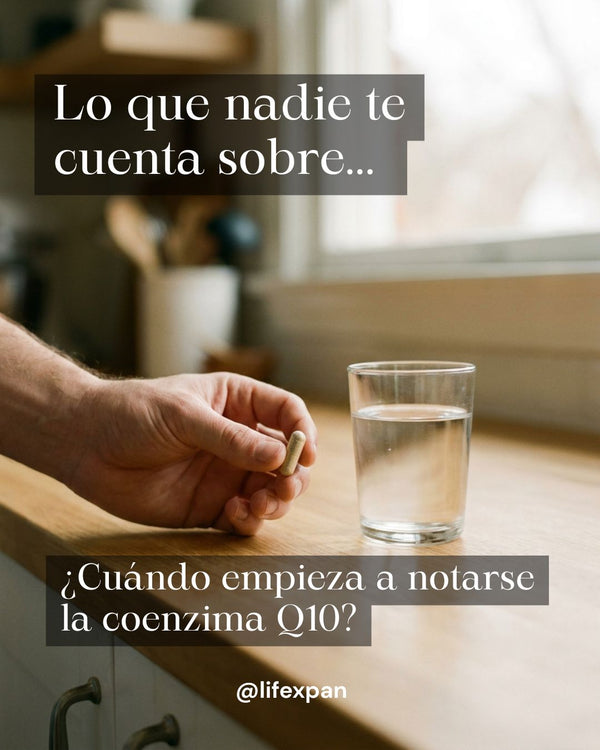 Cuánto tarda la coenzima Q10 en notarse: la vida media real