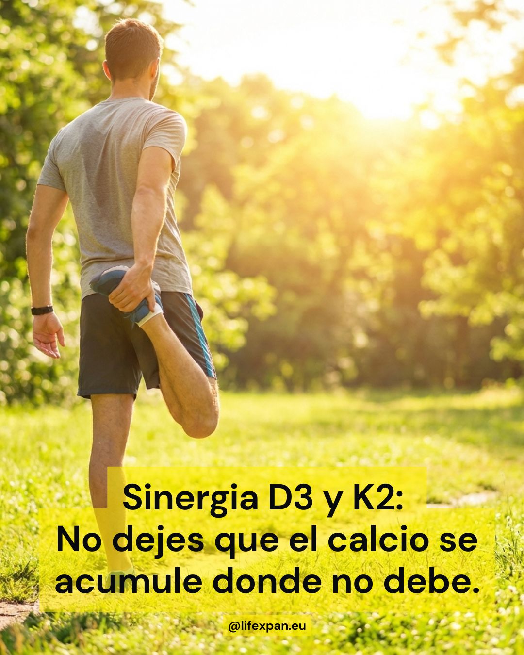 El Triángulo de las Bermudas del Calcio: Por qué la Vitamina D3 necesita a la K2 (y al Magnesio) para no naufragar