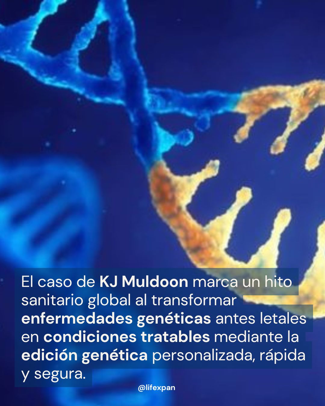 El Código de la Vida se Edita "a la Carta": El Caso de KJ Muldoon y la Revolución de la Medicina Personalizada
