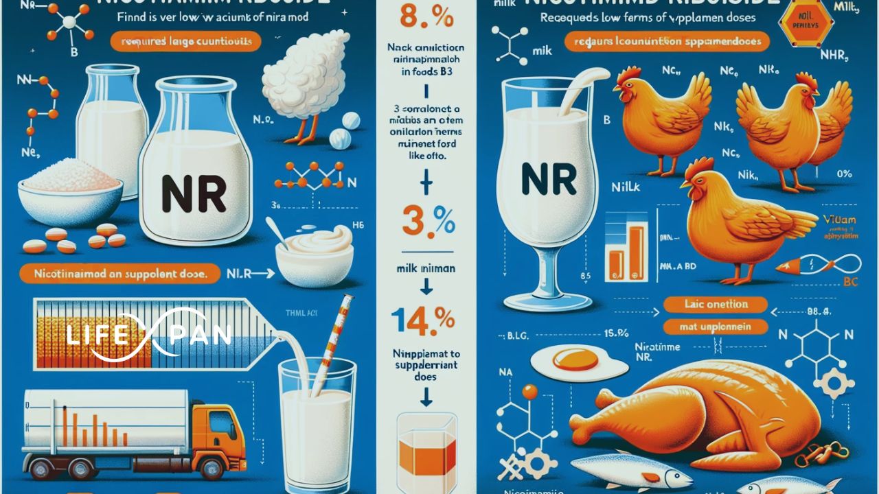 ¿Qué alimentos contienen Vitamina B3?