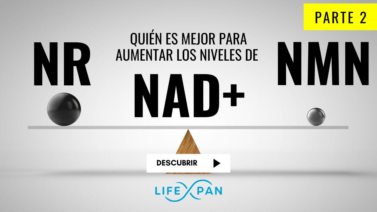 NR vs NMN Parte II-III: la transformación de la salud mitocondrial | Artículo de investigación