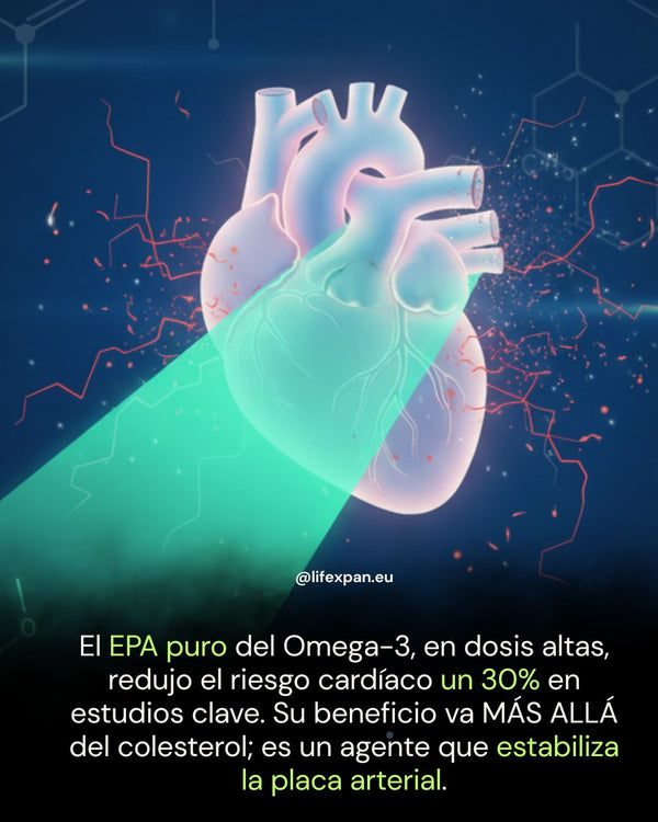 Omega-3: El Nuevo Estándar en la Protección del Corazón y el Cerebro