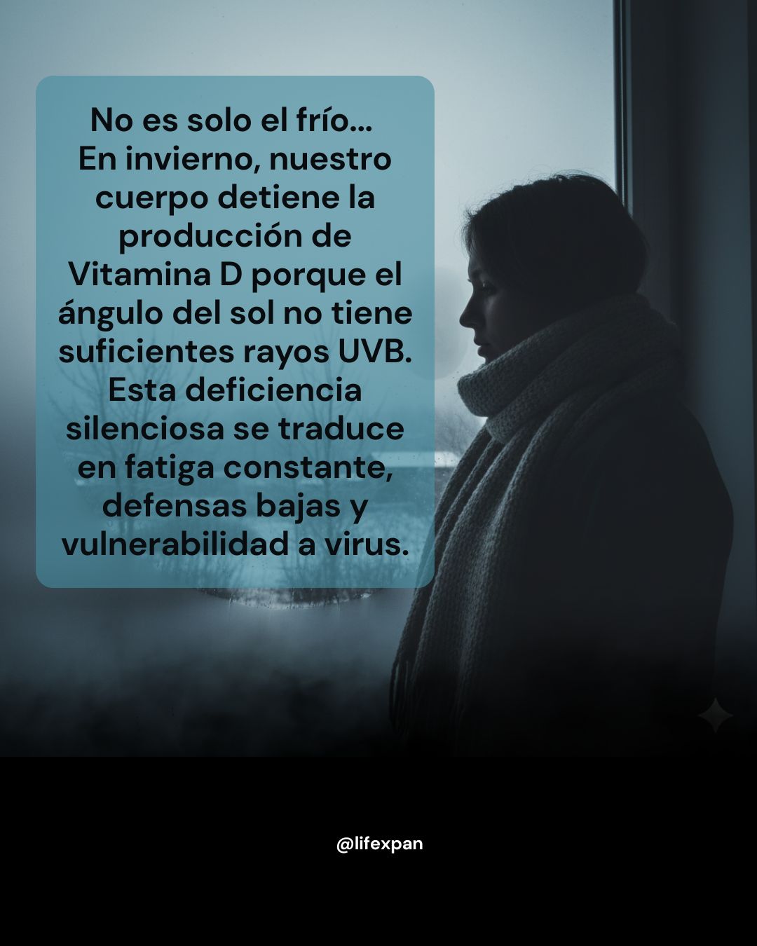 La Batalla Silenciosa del Invierno: Vitamina D, El Secreto Olvidado y el Motor de la Expansión Vikinga