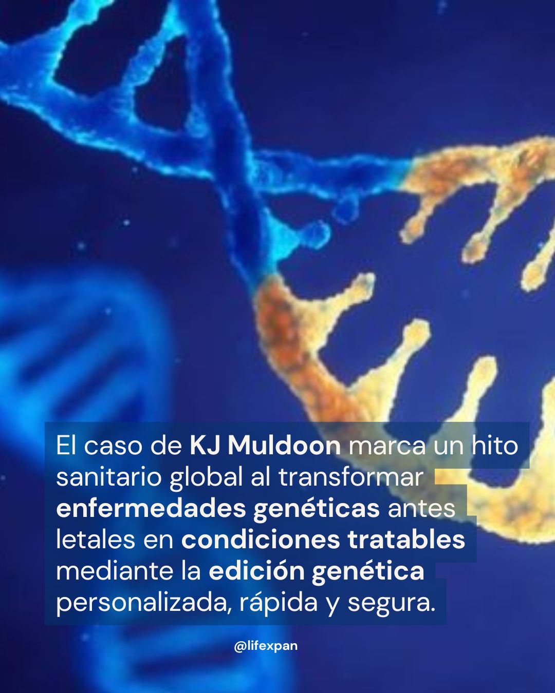 El Código de la Vida se Edita "a la Carta": El Caso de KJ Muldoon y la Revolución de la Medicina Personalizada