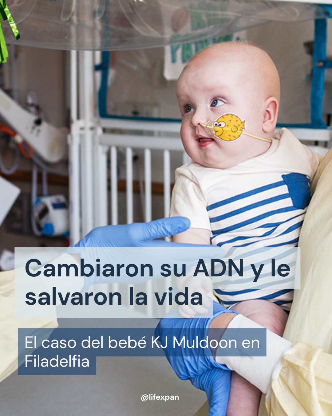 El Código de la Vida se Edita "a la Carta": El Caso de KJ Muldoon y la Revolución de la Medicina Personalizada