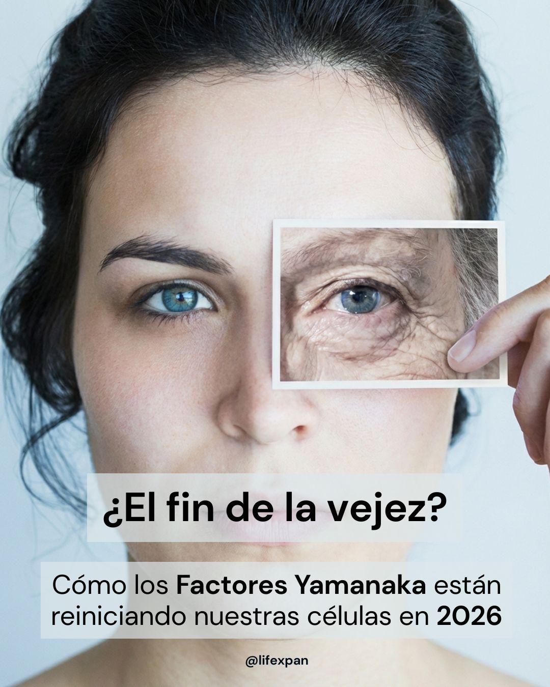 El Renacimiento de las Células: Cómo los Factores de Yamanaka están Rediseñando el Envejecimiento Humano