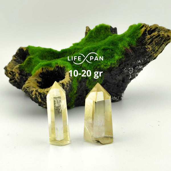 Citrino Punta Canalizadora Natural – Cristal Energético para Prosperidad, Abundancia y Transmutación de Energías – LifeXpan