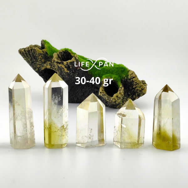 Citrino Punta Canalizadora Natural – Cristal Energético para Prosperidad, Abundancia y Transmutación de Energías – LifeXpan